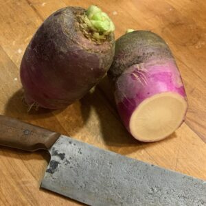 Radis bleu d'Automne