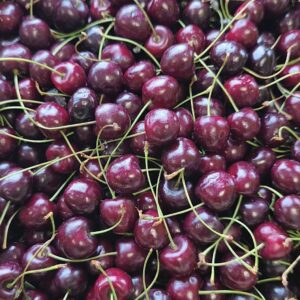 Cerisier Bigarreau Belge