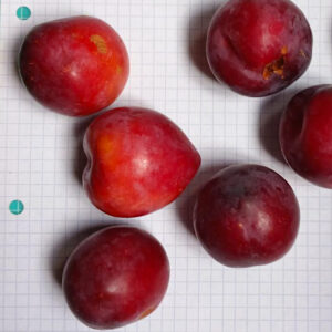 Pluot Flavor Candy